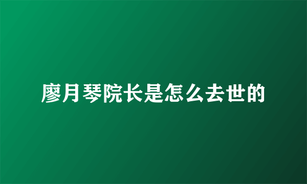 廖月琴院长是怎么去世的