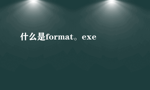 什么是format。exe