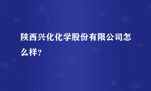 陕西兴化化学股份有限公司怎么样？