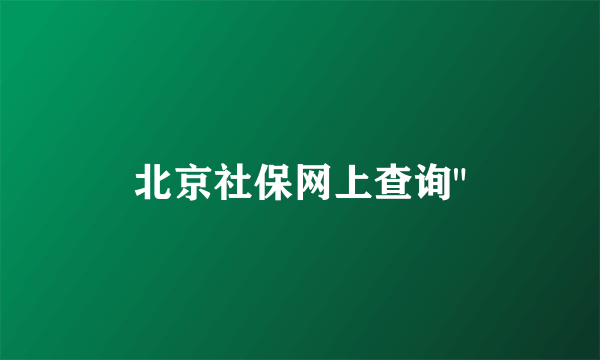 北京社保网上查询