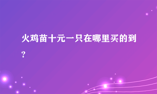 火鸡苗十元一只在哪里买的到？