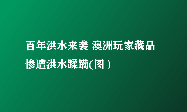 百年洪水来袭 澳洲玩家藏品惨遭洪水蹂躏(图）