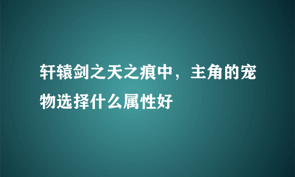 轩辕剑之天之痕中，主角的宠物选择什么属性好