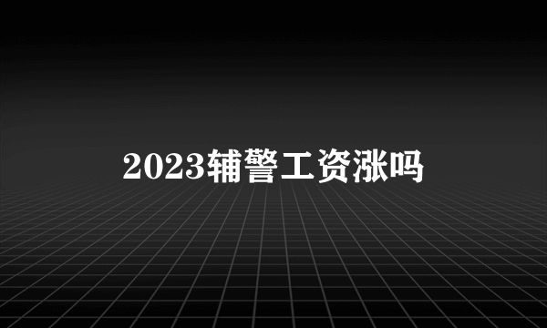 2023辅警工资涨吗