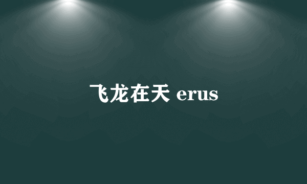 飞龙在天 erus