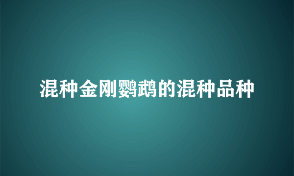 混种金刚鹦鹉的混种品种