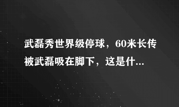 武磊秀世界级停球，60米长传被武磊吸在脚下，这是什么水平？怎么评价武磊的这次停球？