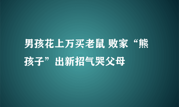 男孩花上万买老鼠 败家“熊孩子”出新招气哭父母