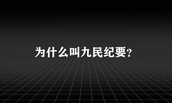 为什么叫九民纪要？