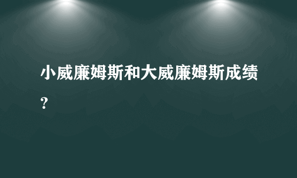 小威廉姆斯和大威廉姆斯成绩？