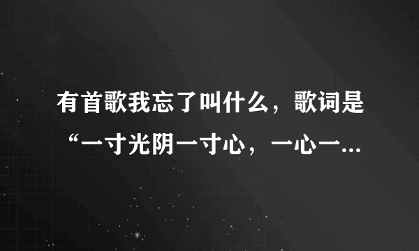 有首歌我忘了叫什么，歌词是“一寸光阴一寸心，一心一意捧在手掌心”谁知道这歌叫什么？