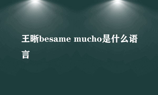 王晰besame mucho是什么语言