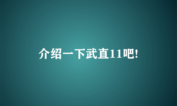 介绍一下武直11吧!