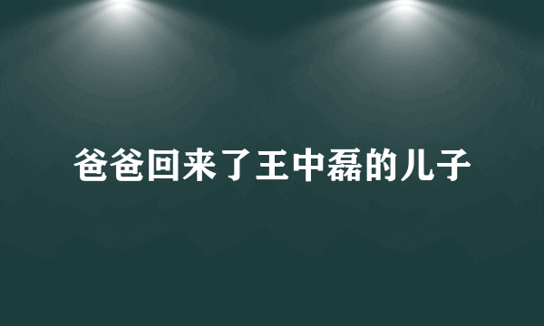 爸爸回来了王中磊的儿子