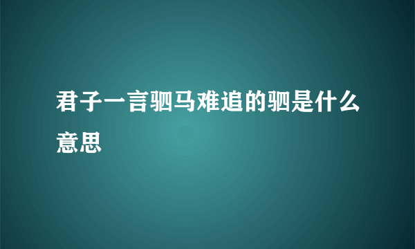 君子一言驷马难追的驷是什么意思