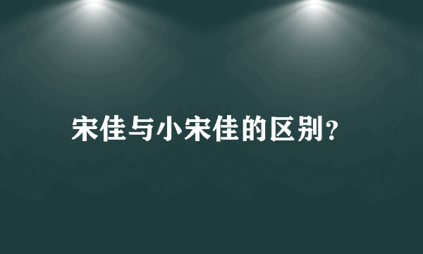 宋佳与小宋佳的区别？