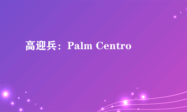 高迎兵：Palm Centro