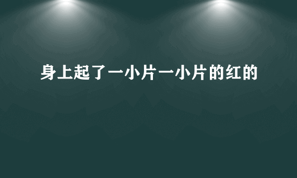 身上起了一小片一小片的红的