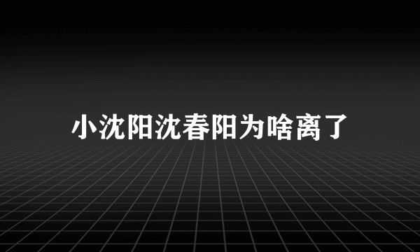 小沈阳沈春阳为啥离了