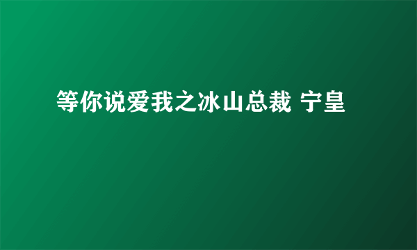 等你说爱我之冰山总裁 宁皇