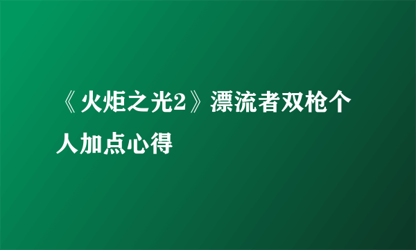 《火炬之光2》漂流者双枪个人加点心得