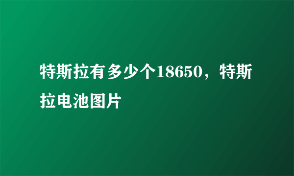 特斯拉有多少个18650，特斯拉电池图片