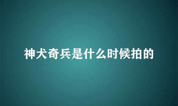 神犬奇兵是什么时候拍的