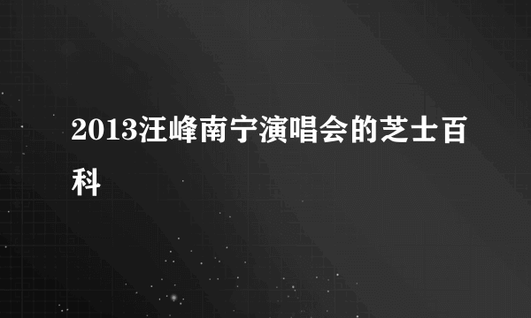 2013汪峰南宁演唱会的芝士百科