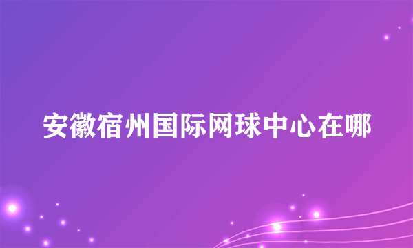 安徽宿州国际网球中心在哪