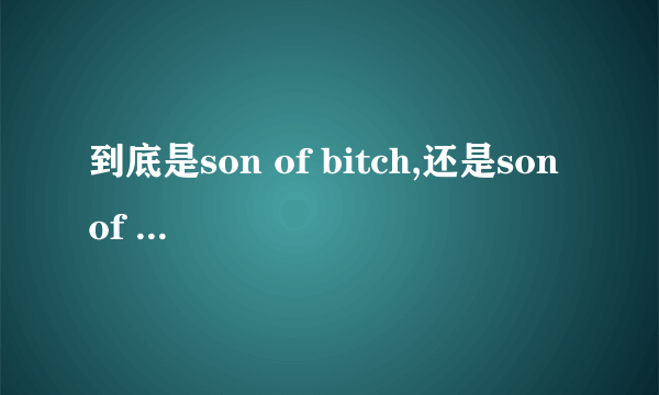 到底是son of bitch,还是son of a bitch