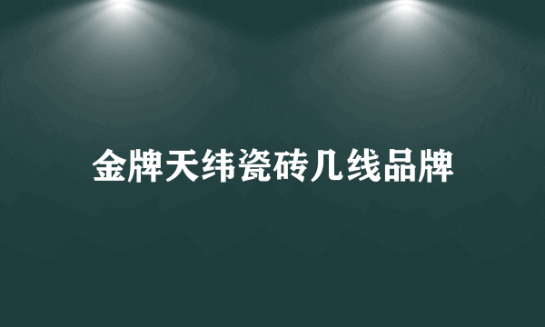 金牌天纬瓷砖几线品牌