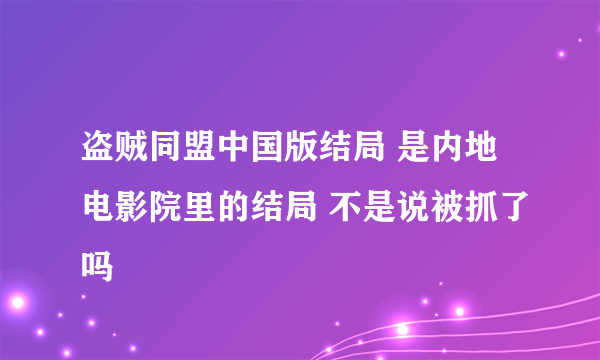 盗贼同盟中国版结局 是内地电影院里的结局 不是说被抓了吗