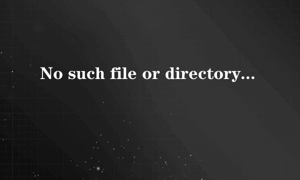 No such file or directory怎么解决