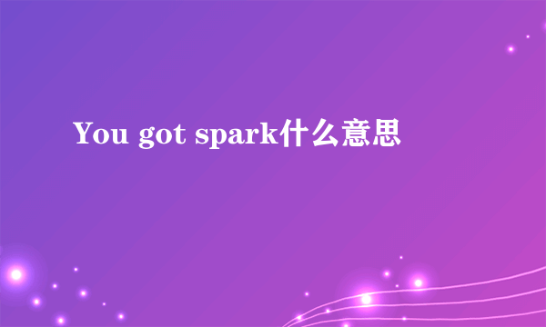 You got spark什么意思