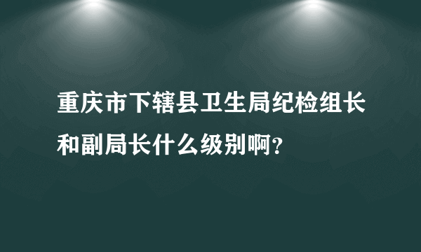 重庆市下辖县卫生局纪检组长和副局长什么级别啊？