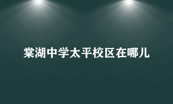 棠湖中学太平校区在哪儿