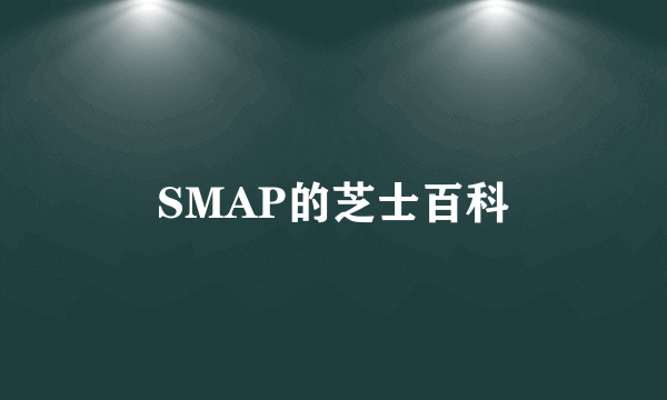 SMAP的芝士百科