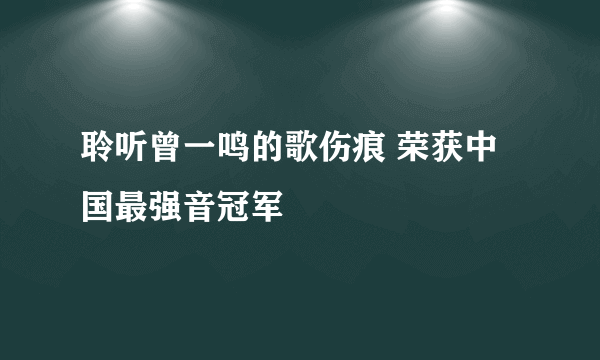 聆听曾一鸣的歌伤痕 荣获中国最强音冠军