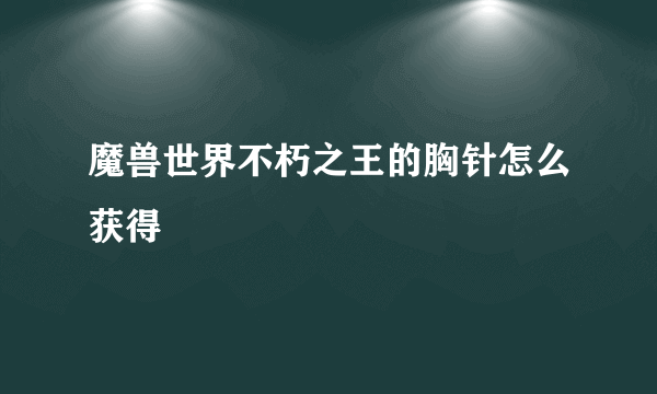 魔兽世界不朽之王的胸针怎么获得