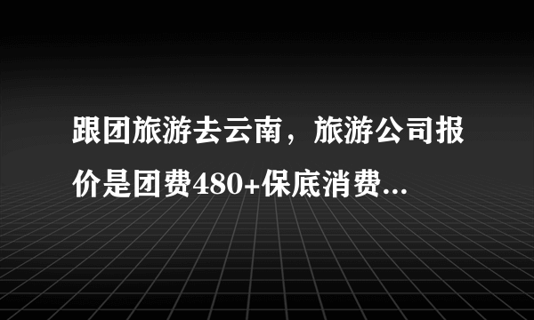 跟团旅游去云南，旅游公司报价是团费480+保底消费700多，加起来1千2百多，讲价下来1100，