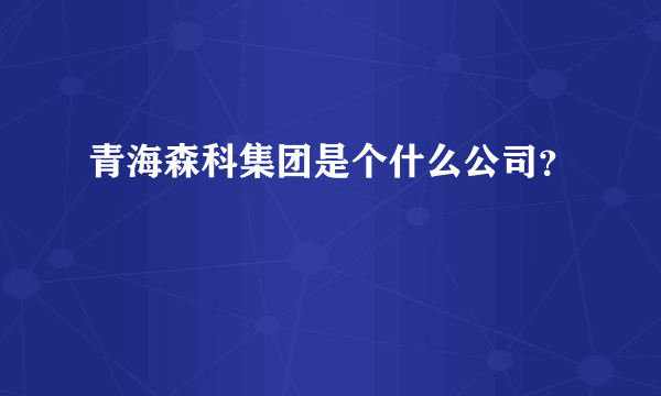 青海森科集团是个什么公司？