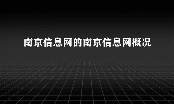 南京信息网的南京信息网概况