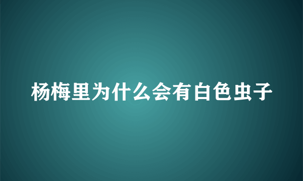 杨梅里为什么会有白色虫子