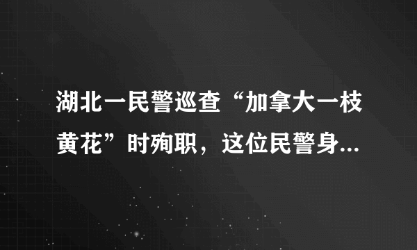 湖北一民警巡查“加拿大一枝黄花”时殉职，这位民警身上有哪些优秀的品质？