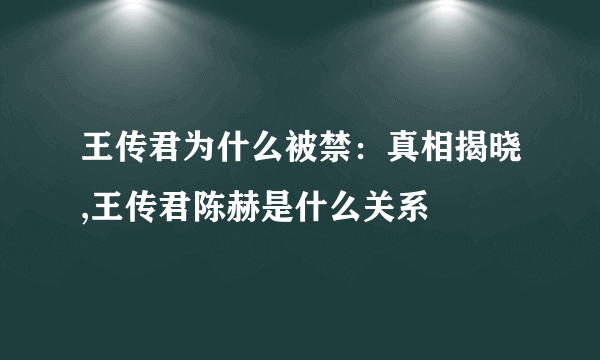 王传君为什么被禁：真相揭晓,王传君陈赫是什么关系