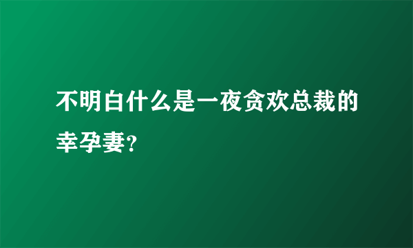 不明白什么是一夜贪欢总裁的幸孕妻？