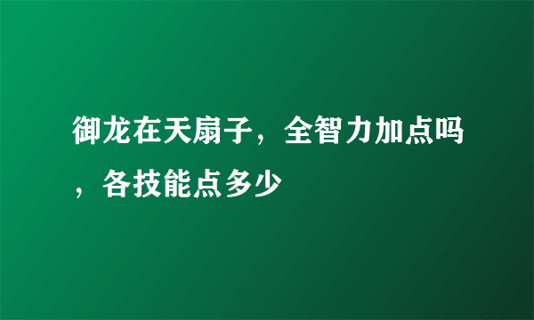 御龙在天扇子，全智力加点吗，各技能点多少