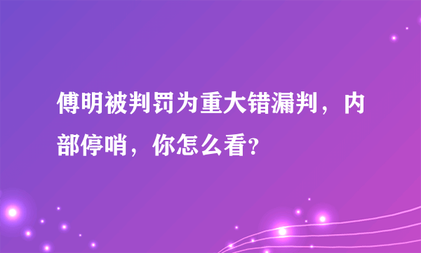 傅明被判罚为重大错漏判，内部停哨，你怎么看？