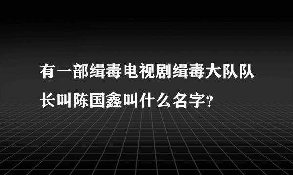 有一部缉毒电视剧缉毒大队队长叫陈国鑫叫什么名字？