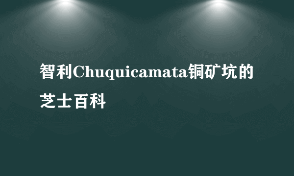 智利Chuquicamata铜矿坑的芝士百科